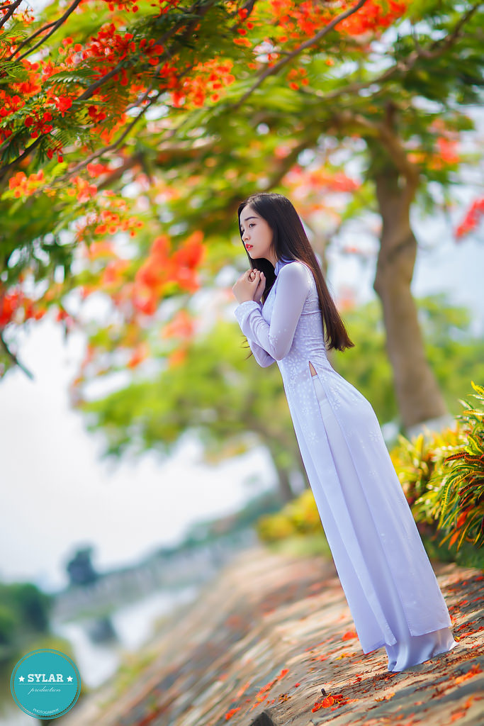 91香蕉视频黄